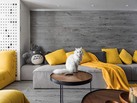 純干貨！家里有寵物的十個裝飾小建議